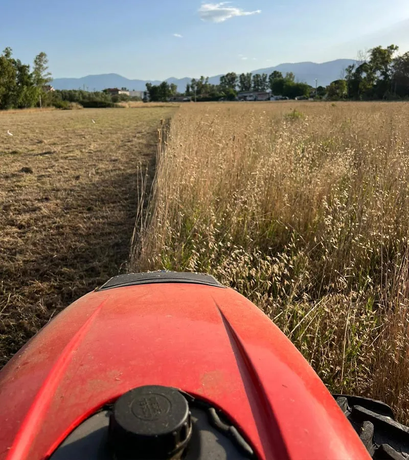 Copertina-caso-studio-ISEL-Multiservizi Un salto di qualità a Latina: il percorso di certificazione di I.SE.L.